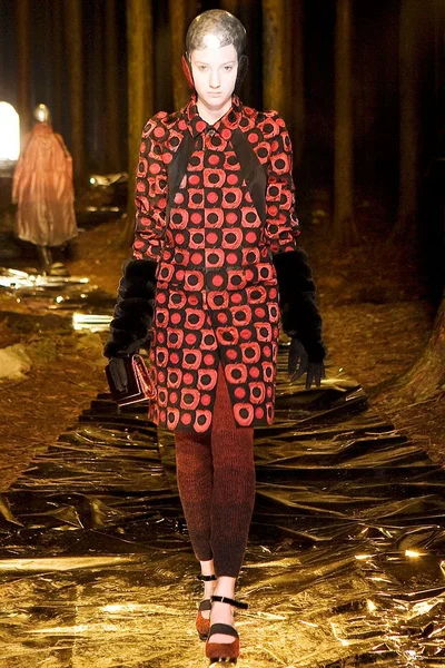 Look 29